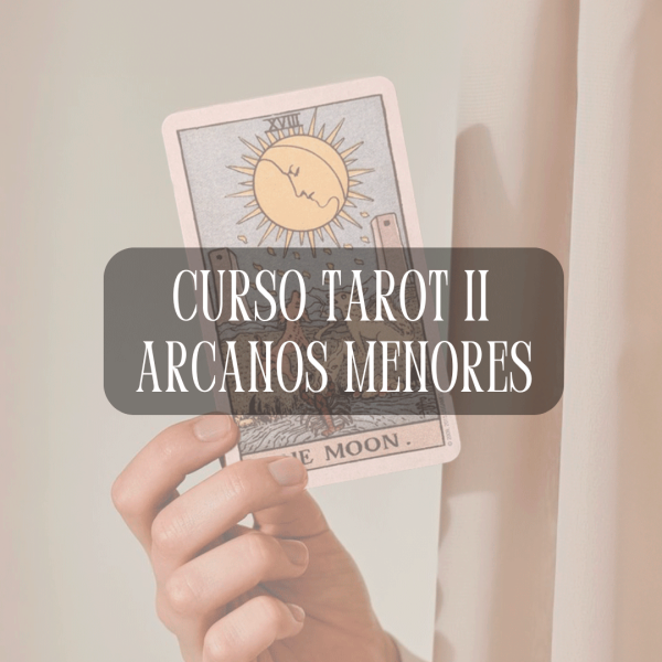 Curso Tarot Rider Waite II - Arcanos Menores (Online a tu ritmo)